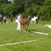 Ponyfestival 2008 026